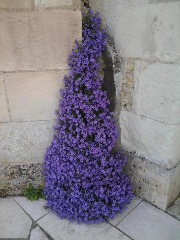 La Renaudiere Chenonceaux Exterior photo
